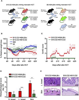 A T-Cell Surface Marker Panel Predicts Murine Acute Graft-Versus-Host Disease